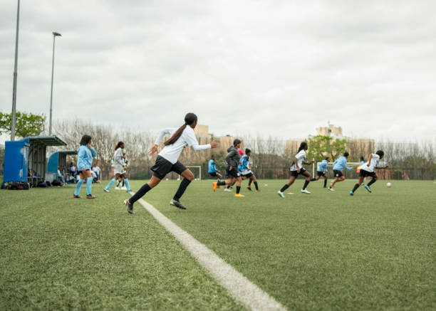 人性化的平 人性化的平