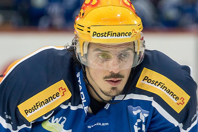 供了宝贵的 供了宝贵的