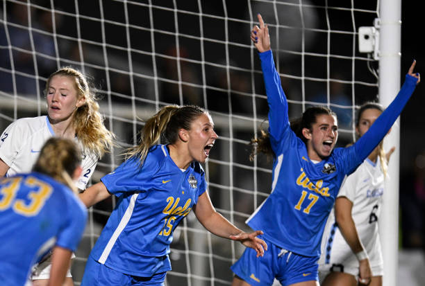 埃弗顿很可 埃弗顿很可