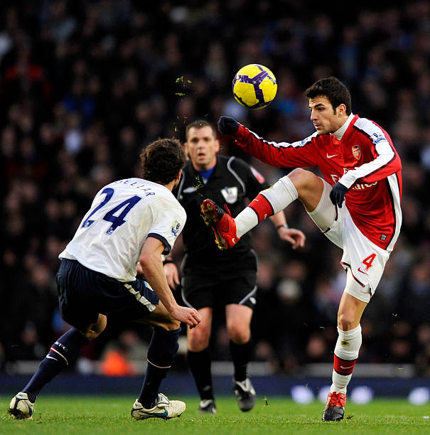 本篇文章 本篇文章